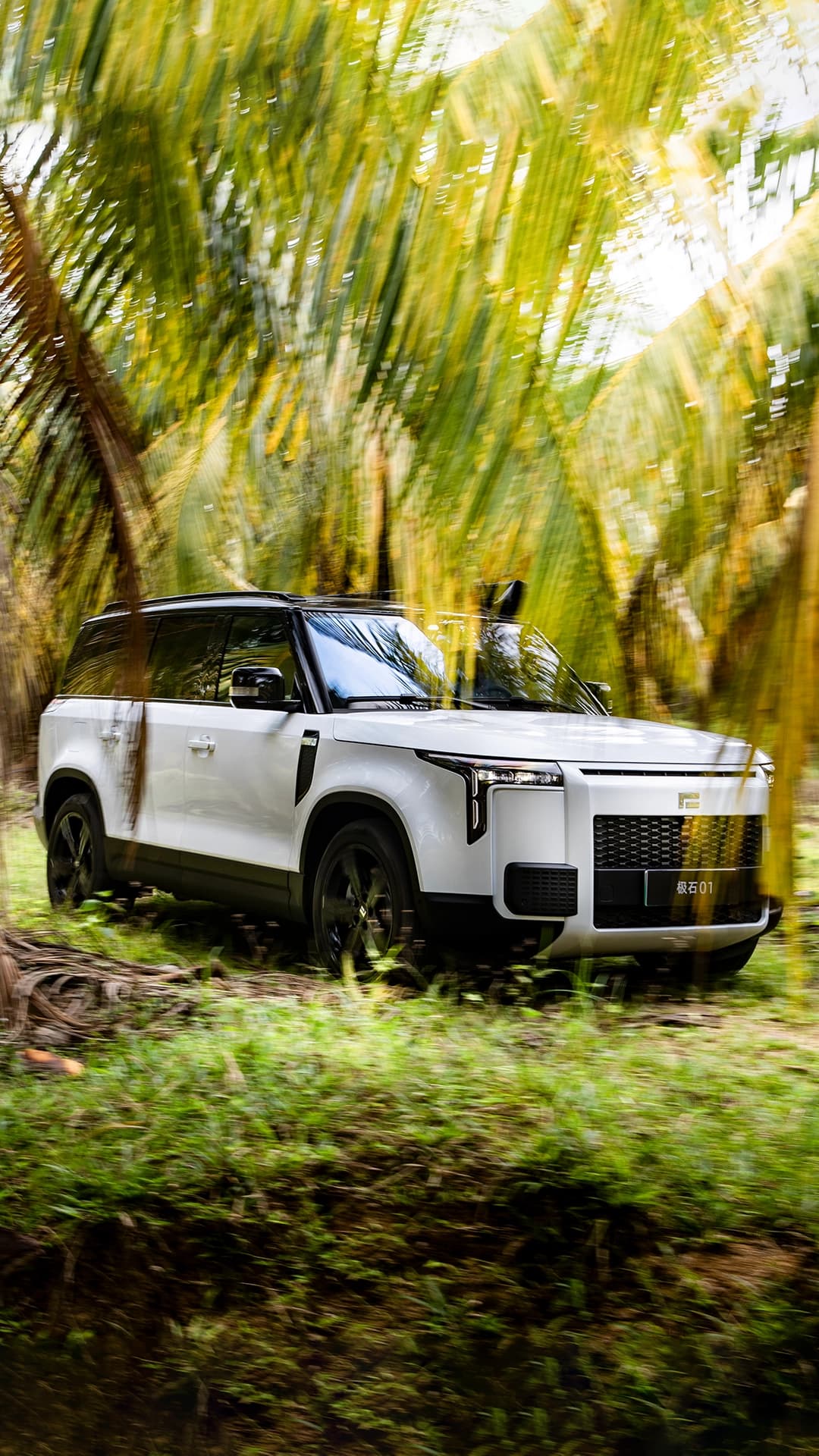 Wild Nature Mobile